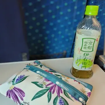 新幹線　のぞみ　エクラ付録　レスポポーチ