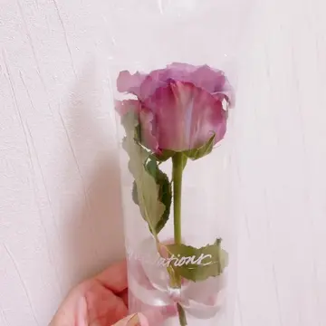 購入当日のCapriceAir