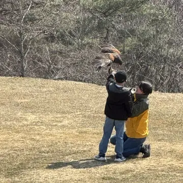 那須どうぶつ王国　バードパフォーマンス