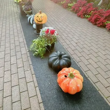 横浜イングリッシュガーデンのハロウィン