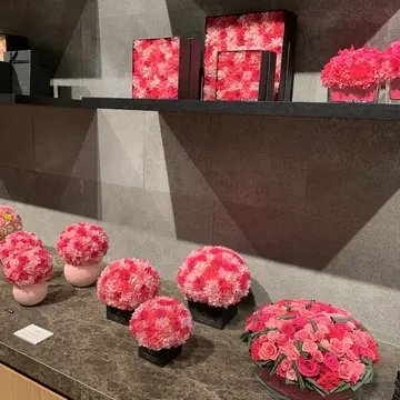 ニコライバーグマンの店内