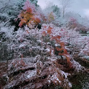 エクシブ有馬離宮の中庭