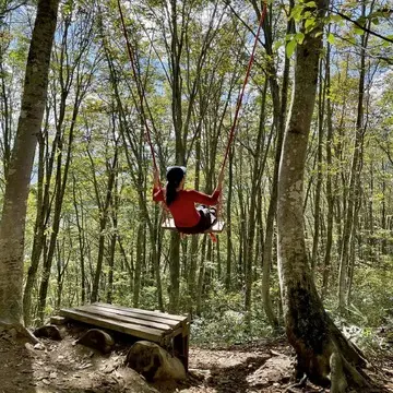 岩岳マウンテンリゾート内のトレッキングコース「ねずこの森」の中のブランコ