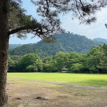 島根県出雲大社内の景色