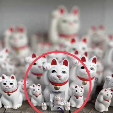 奉納した招福猫児さま達