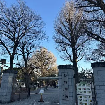 新宿御苑　散策　都内　新宿　自然　花