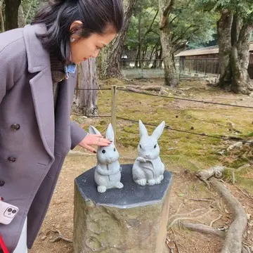 出雲大社　夫婦旅行　ご縁　うさぎ