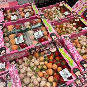 旬のいちごがたくさん並びます！鮮やかあ！