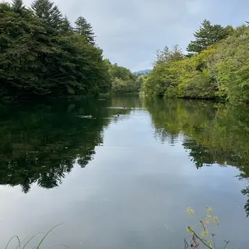 雲場池に映る緑の木々。初秋の静けさが美しい軽井沢の癒しスポット