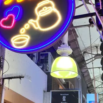 魅力的なネオンたち