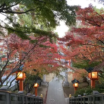 穴八幡宮の階段を境内から見下ろした風景。紅葉トンネルと朱色の灯籠が美しい秋の参道。早稲田の人気パワースポット穴八幡宮の紅葉景色