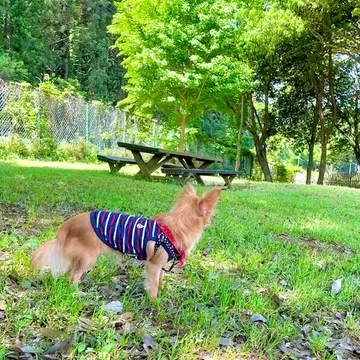 茨城の自然が楽しめる素敵な場所への画像_7