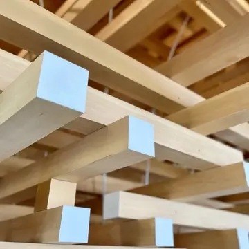 小さな枝を組み合わせて大きな木のような建築