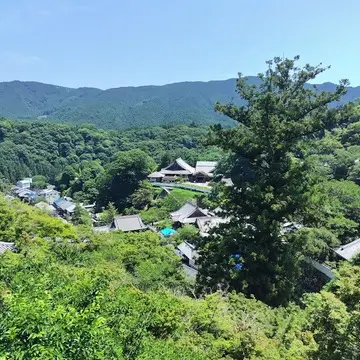 西国八番霊場　総本山 長谷寺　本堂からの眺め