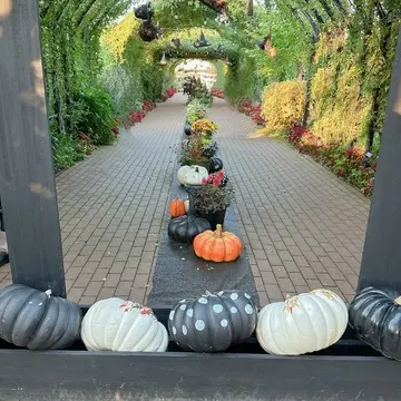 横浜イングリッシュガーデンのハロウィン