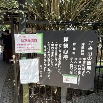 館山　千葉　夏休み　夫婦旅行