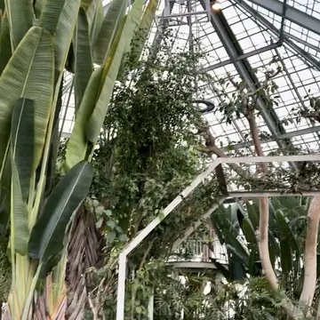 熱帯植物園」