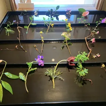 京都市北区の花屋みたてさん店内