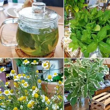 つみたてのハーブをふんだんに使ったミントティー。爽やかな香り。他では味わえないくらい美味しい♫