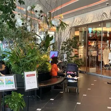 二子玉川　ニコタマ　蔦屋家電　jマダムブログ　銀河鉄道の父　菅田将暉　役所広司