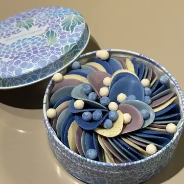 shodai bio nature　ペタル紫陽花