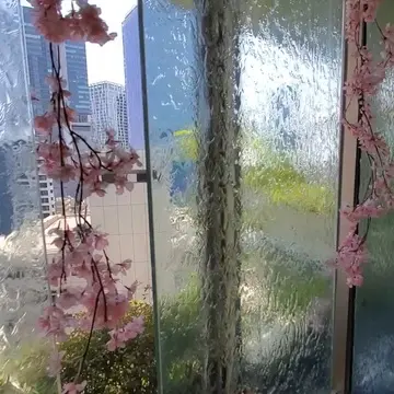 水の流れるガラスに沿って、エントランスから店内へ。