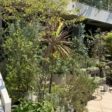 ルミリュウ鎌倉山　鎌倉カフェ　鎌倉パティスリー