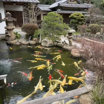 出雲松江旅　松江城　夫婦旅行
