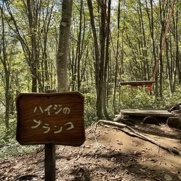 岩岳マウンテンリゾート内のトレッキングコース「ねずこの森」の中のブランコ