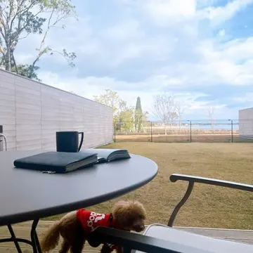 サンクチュアリコート琵琶湖　ベネチアンモダンリゾート　ドッグラン