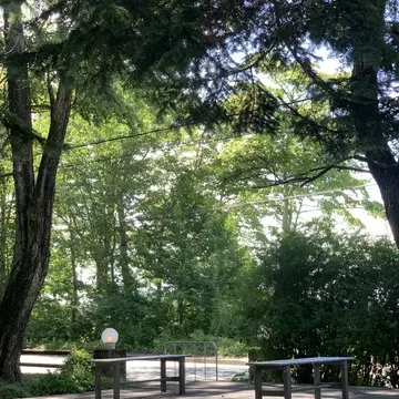 ペーパームーン山中湖　人気　ケーキ　お土産