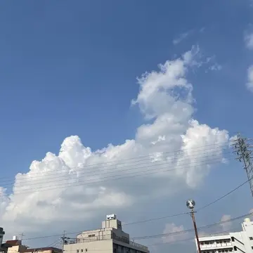 夏着物でお食事に行って来ました。の画像_6