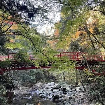 大阪紅葉名所　箕面