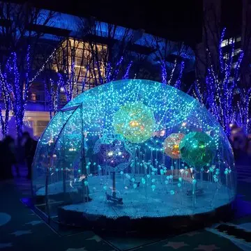 イルミネーション