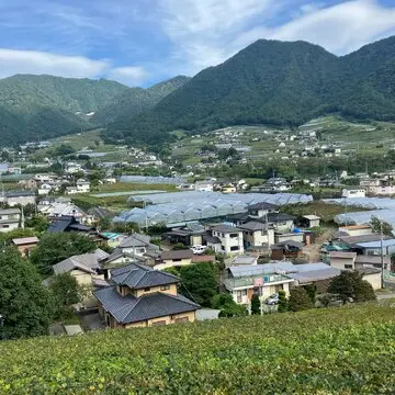 勝沼ぶどう郷　勝沼ワイナリー　ワインテイスティング　山梨　日帰り旅行　
ワンデートリップ　ソロ活　おひとりさま　エクラ　jマダム ぶどうの丘　ワインカーヴ　タートヴァン