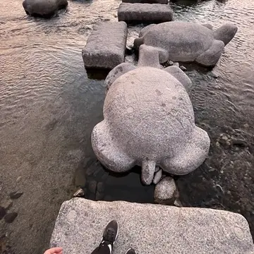 鴨川デルタの飛び石