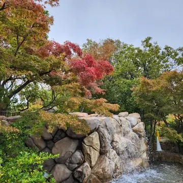 なんと！滝までありました。