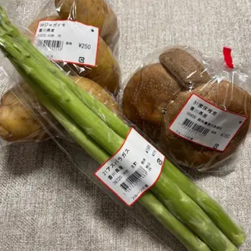 香川　四国　瀬戸内海　国内旅行　グルメ　一番鳥　高松　うどん　うどんタクシー　文月　讃岐うどん　淡路島　昭和レトロ喫茶　レトロ喫茶　イタリアン