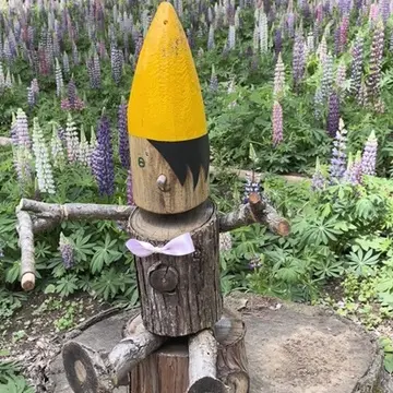 埼玉県森林公園「ルピナス畑」のピノキオ