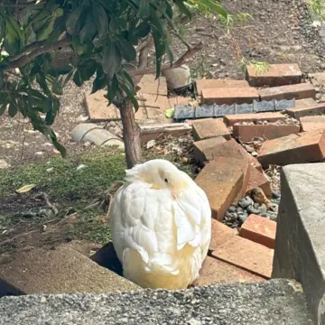 熱海　温泉　旅行　ブラミンク　海　熱海グルメ　熱海土産　熱海温泉リラックスリゾートホテル　温泉