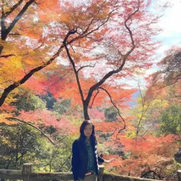 箕面の紅葉