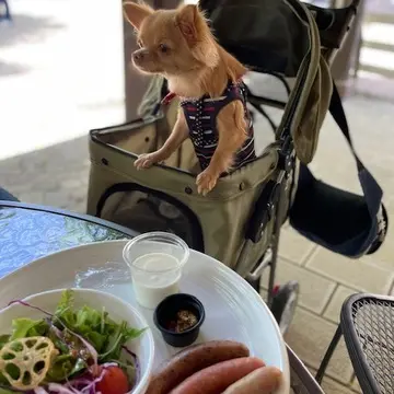 茨城の自然が楽しめる素敵な場所への画像_6