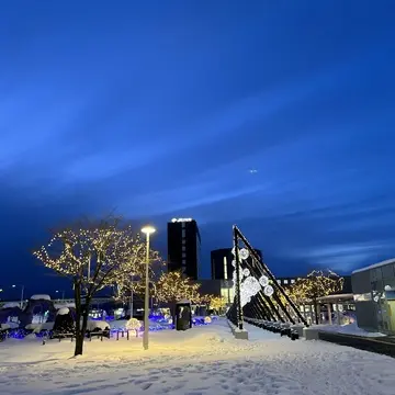 函館駅前のイルミネーション