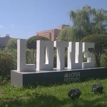 ロータスの文字