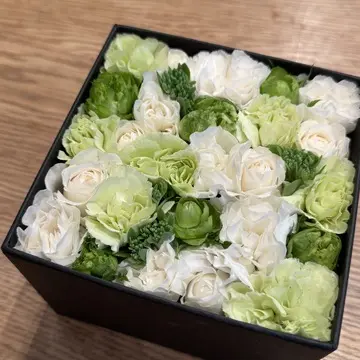 ニコライバーグマン