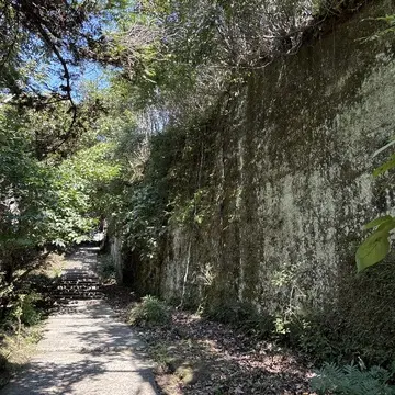 館山　千葉　夏休み　夫婦旅行