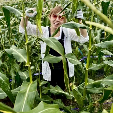 とうもろこし収穫直後の妹です