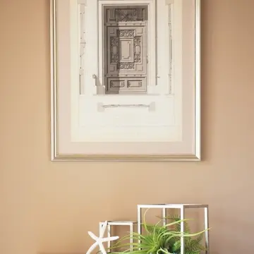 夏の多肉植物とヒトデ