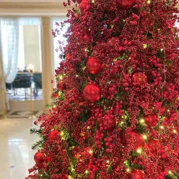 リーガロイヤルホテル東京のロビーに飾られた赤い実のクリスマスツリー。冬の早稲田エリアで話題のホテル装飾。華やかな赤のオーナメントとイルミネーションが映えるクリスマスツリー。