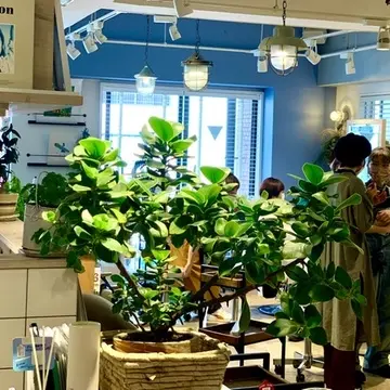 緑が多くて癒される店内